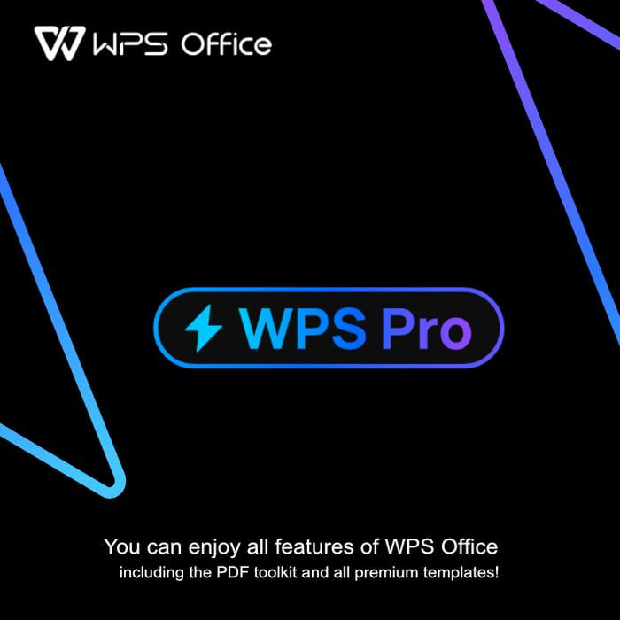 WPS Office 智能排版应用效果展示