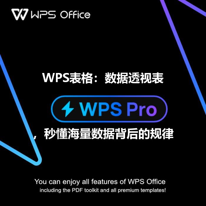 WPS表格：数据透视表，秒懂海量数据背后的规律 - WPS Office操作指南