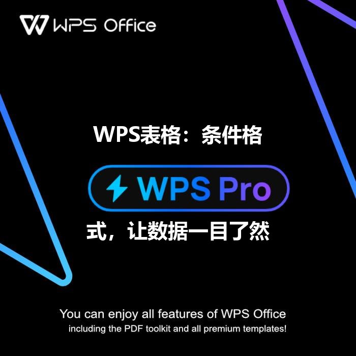 WPS表格：条件格式，让数据一目了然 - WPS Office操作指南
