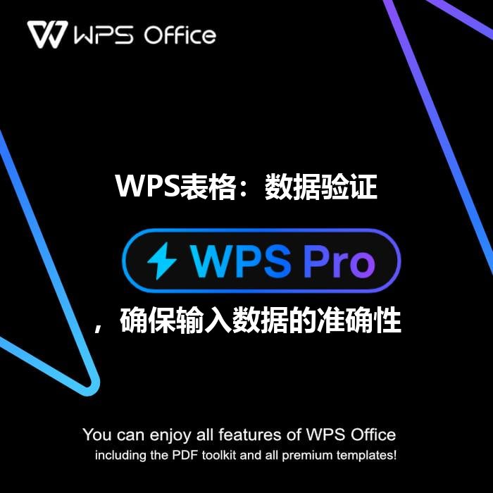 WPS表格：数据验证，确保输入数据的准确性 - WPS Office操作指南