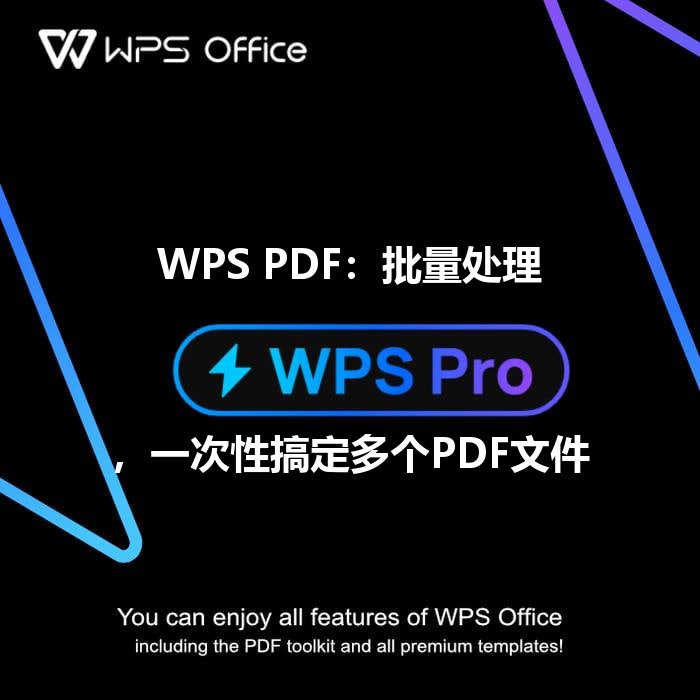 WPS PDF：批量处理，一次性搞定多个PDF文件 - WPS Office操作指南