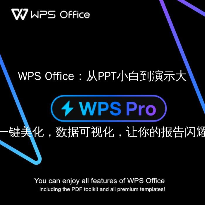 WPS Office：从PPT小白到演示大师，一键美化，数据可视化，让你的报告闪耀全场 - WPS Office操作指南