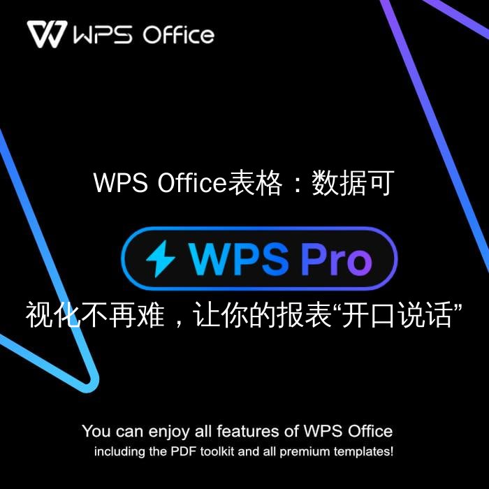 WPS Office表格数据可视化示例
