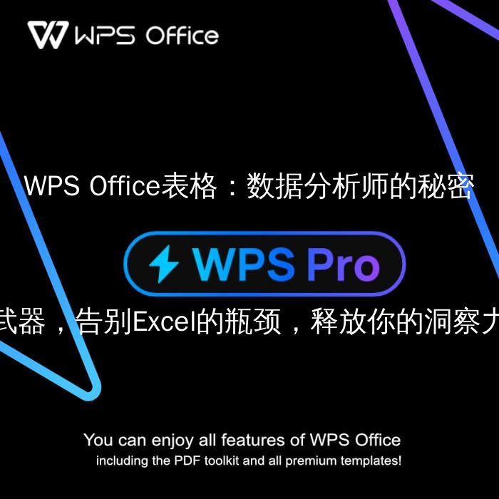 WPS Office表格界面展示