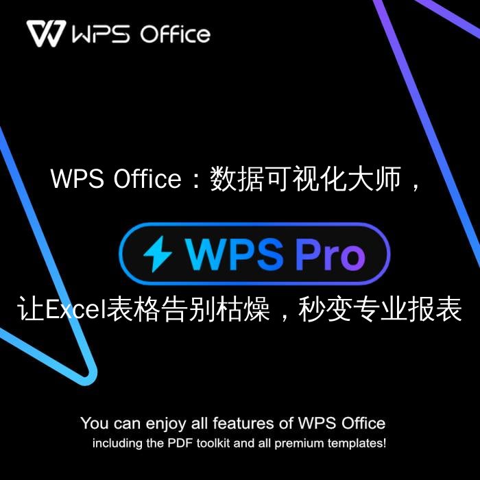WPS Office：数据可视化大师，让Excel表格告别枯燥，秒变专业报表 - WPS Office操作指南