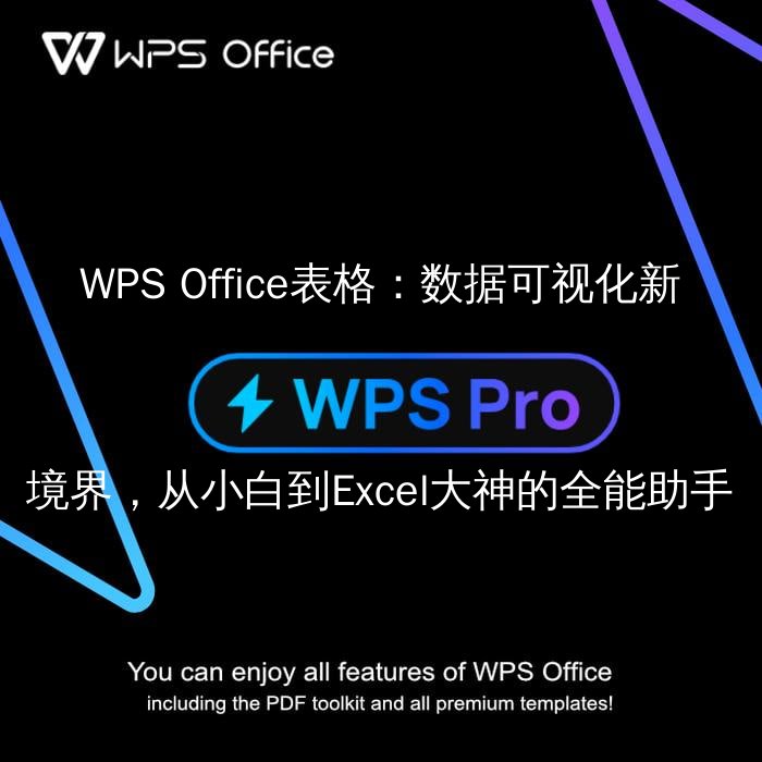 WPS Office表格：数据可视化新境界，从小白到Excel大神的全能助手 - WPS Office操作指南