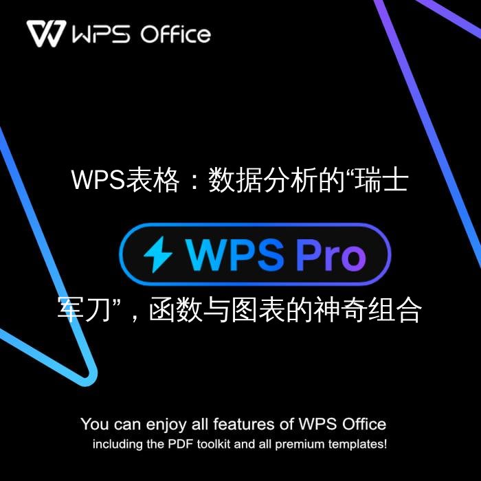 WPS表格界面展示，突出数据输入和函数应用