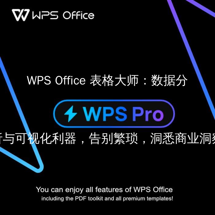 WPS Office 表格大师：数据分析与可视化利器，告别繁琐，洞悉商业洞察 - WPS Office操作指南