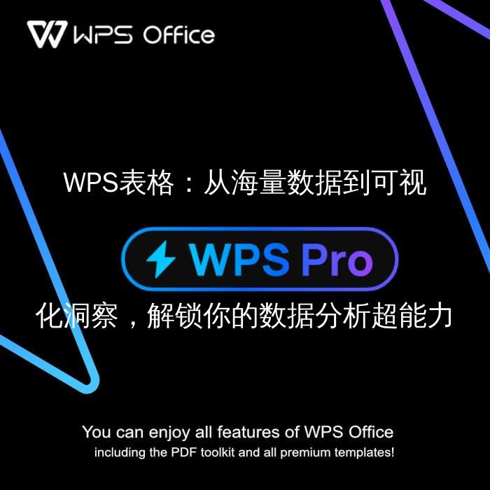WPS表格：从海量数据到可视化洞察，解锁你的数据分析超能力 - WPS Office操作指南
