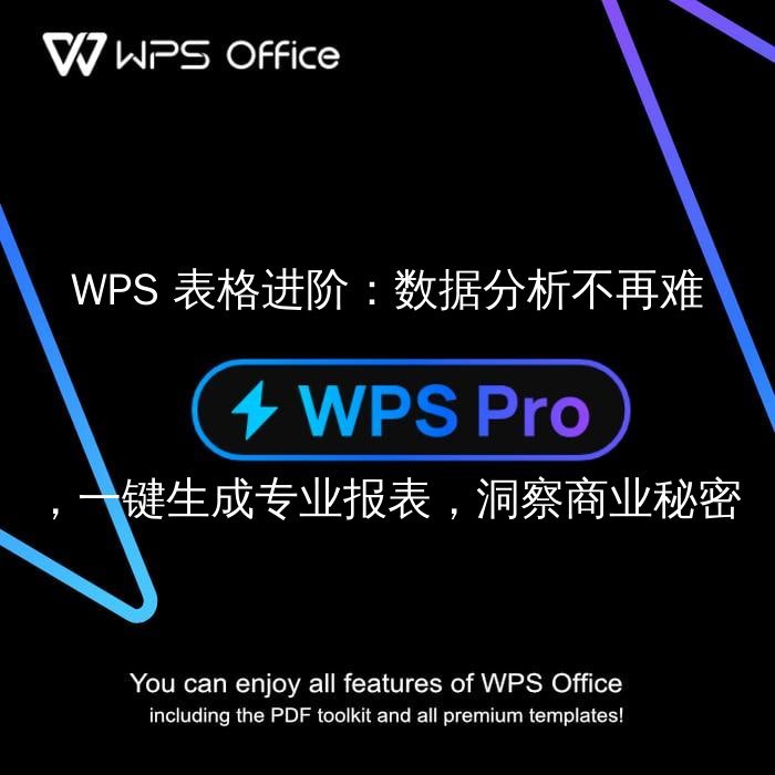 WPS Office：从零到一，让你的Excel数据可视化与智能分析触手可及 - WPS Office操作指南