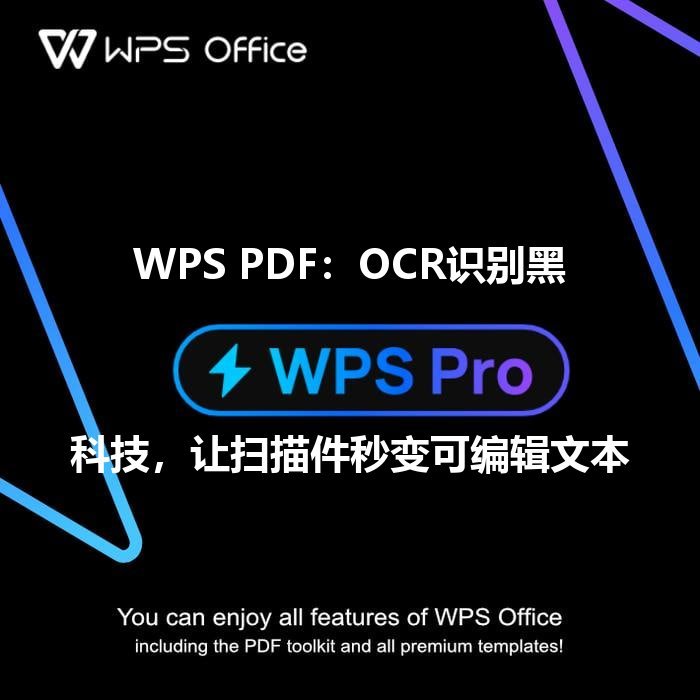 WPS Office表格：数据可视化新纪元，从零基础到专业分析的效率飞跃 - WPS Office操作指南